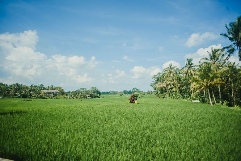 Villa Bhuana Shanti Ubud