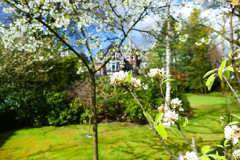 B&B Villa Emma