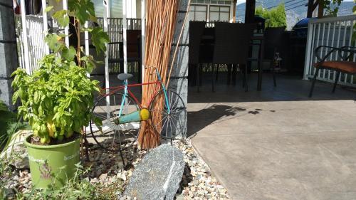 Mount View Motel