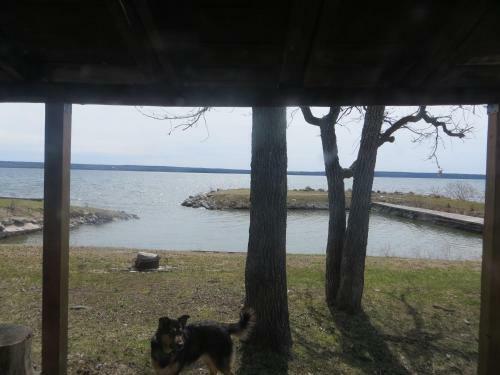 Lake Wolsey Cabins