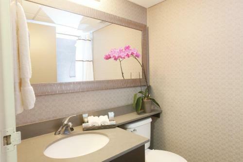 Hotel Pomeroy Inn And Suites Grimshaw