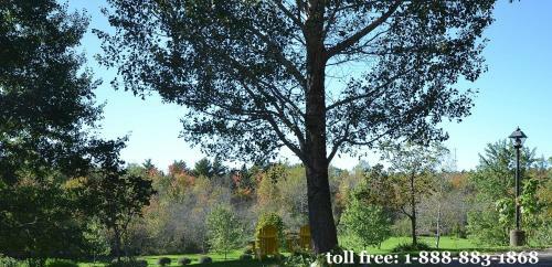 Briarwood Bed & Breakfast