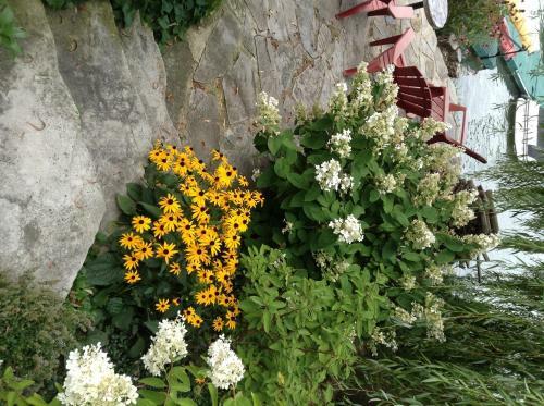 Bed & Breakfast La Belle Aux Berges
