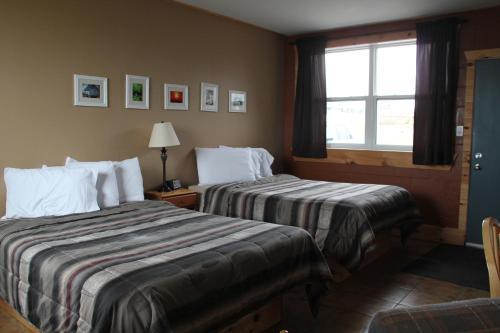 Cape View Motel & Cottages