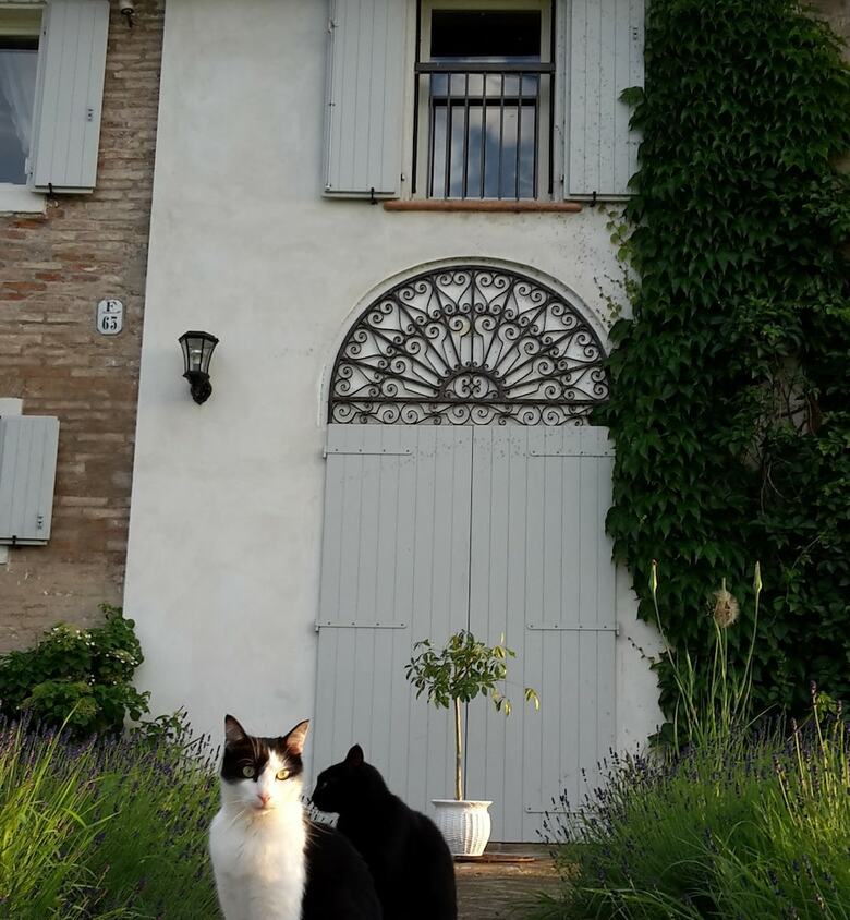 Bed & Breakfast Oasi La Martina