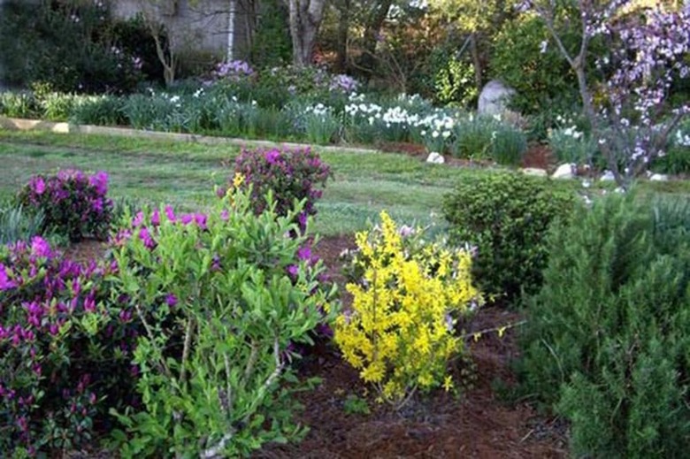 Bed And Breakfast At Mallard Bay