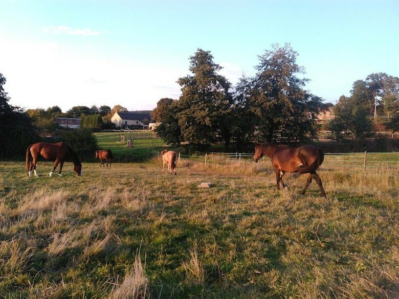 Bed & Breakfast La Ferme Des Pr�s