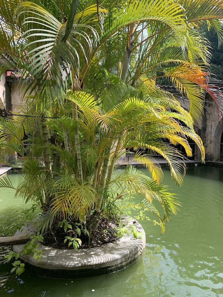 Hotel Rancho Agua Salada