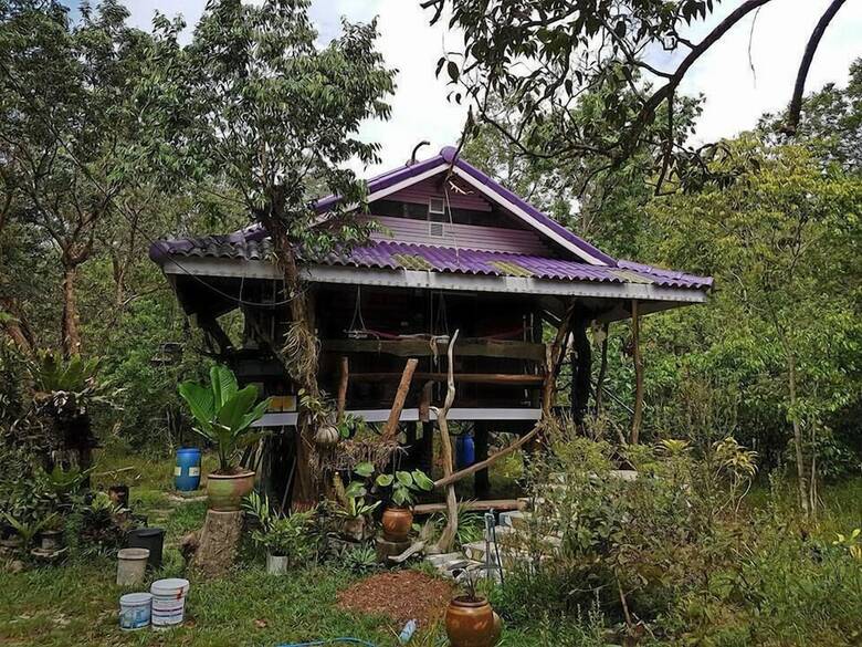 Hotel Big Boss Resort