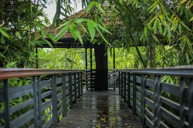Hotel The Woods Resorts Wayanad