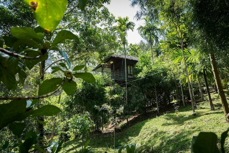 Hotel The Woods Resorts Wayanad