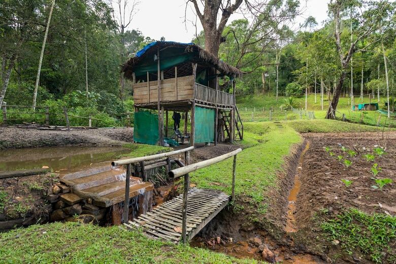 Hotel The Woods Resorts Wayanad