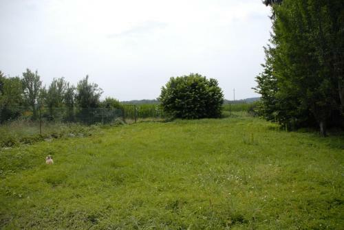 B&B Spighe Paglia E Girasole