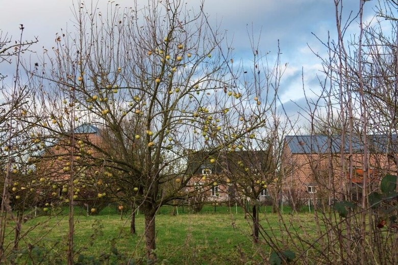 Hotel Il �tait Une Ferme