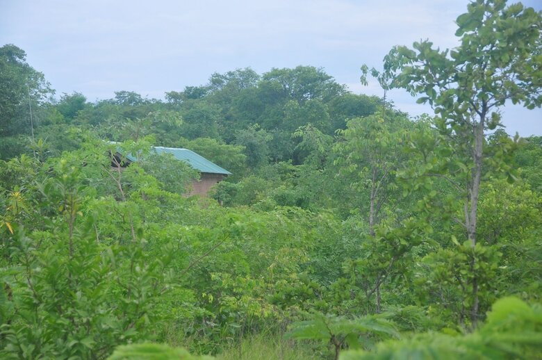 Posada Rafiki Safari Camp