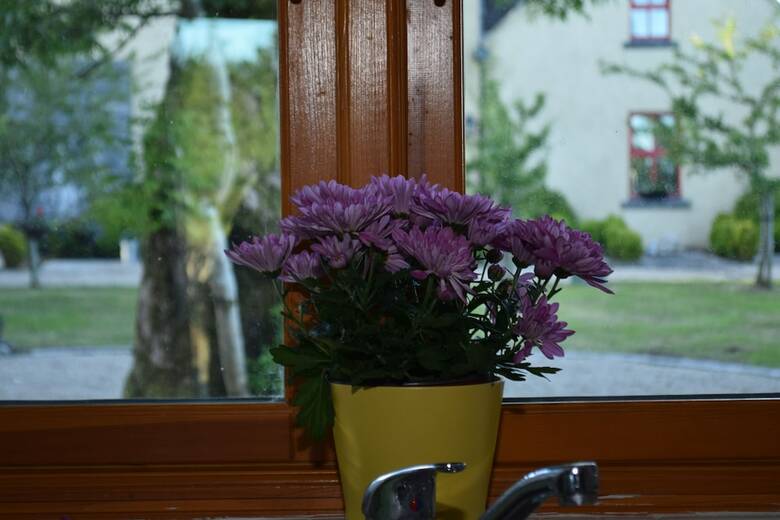 Apartamentos Burren Court