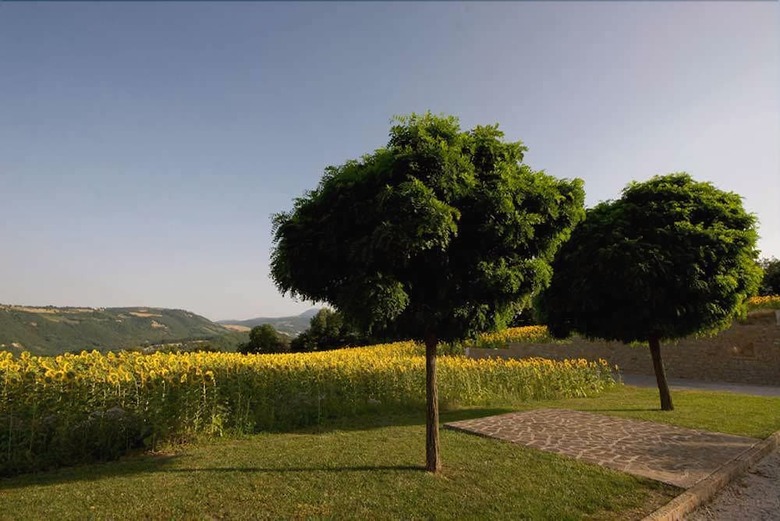 Agroturismo Agriturismo Le Querce