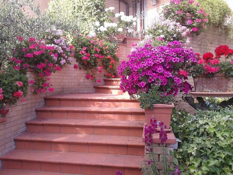Bed And Breakfast Europe