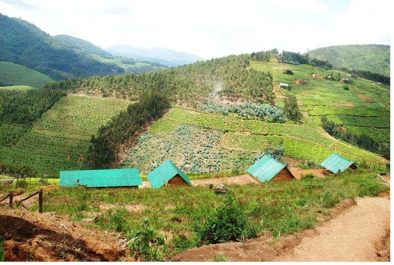 Posada Nyungwe Eco Village