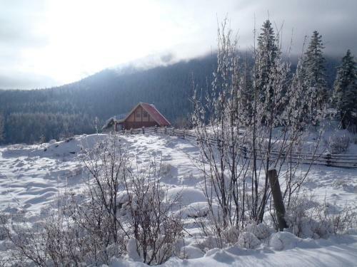 Bear Valley Highlands