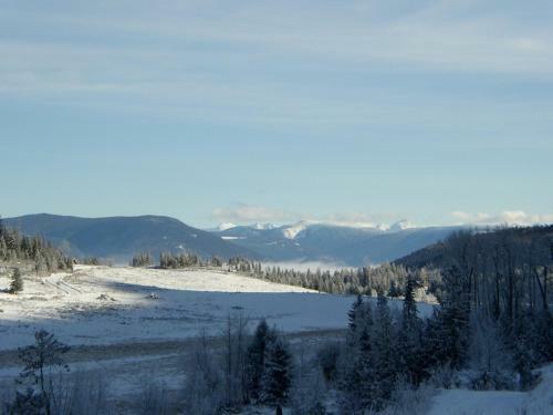 Bear Valley Highlands