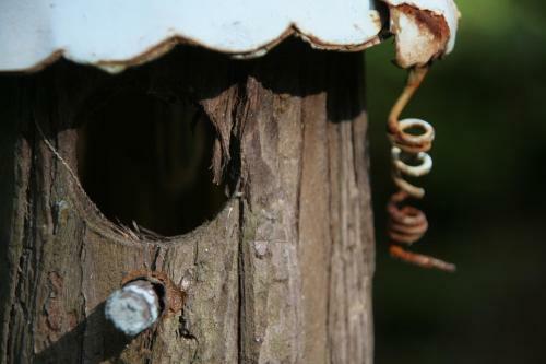 Bed & Breakfast Gite Nature Et Confiture