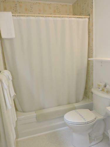Basinview Motel