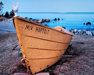 Hotel White Point Beach Resort