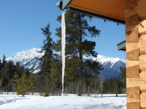 Mica Mountain Lodge & Log Cabins