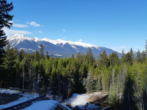 Hostal Bearberry Meadows Guest House