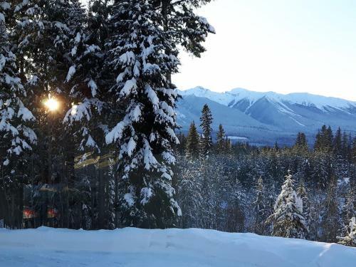 Hostal Bearberry Meadows Guest House