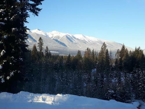 Hostal Bearberry Meadows Guest House