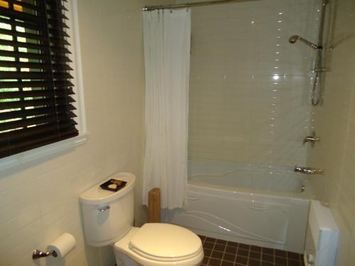 Bed & Breakfast Plumes Et Glisse
