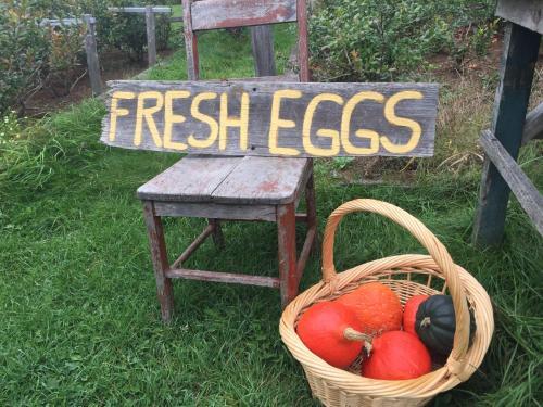 Bed & Breakfast Plumes Et Glisse