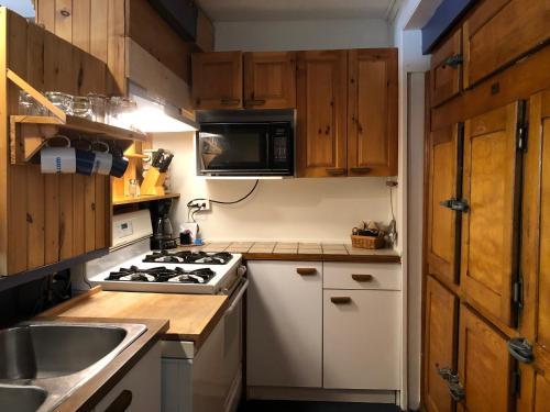 Chalets Et Studios Le Vent Du Nord