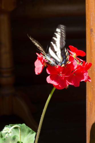 Posada Tranquility Bay Inn & Spa