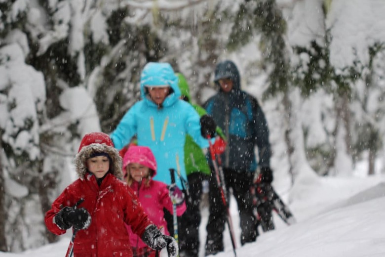 Hotel Manning Park Resort