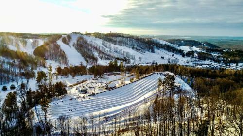 Hotel Horseshoe Resort