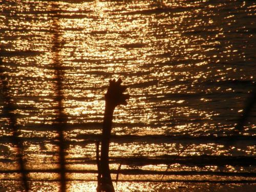 Bed & Breakfast Au Bois De Mer