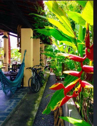 Bed & Breakfast Villa Albard�o Serrambi