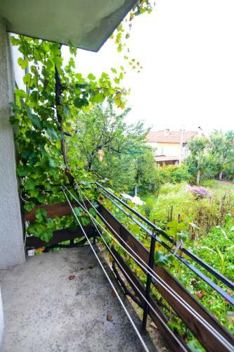 Hostal Topuzovi Guest House