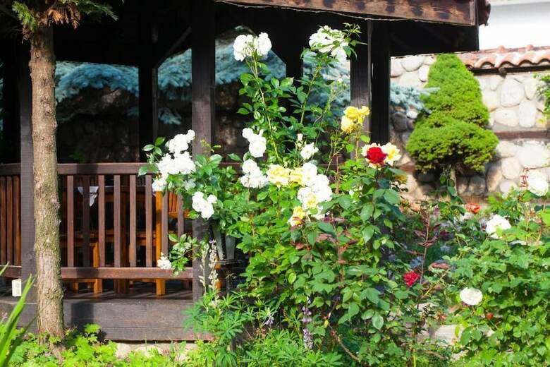 Hotel Tanne