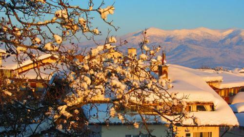 Family Hotel Santo Bansko