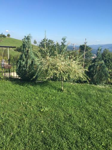 Holiday Home Mrkovici
