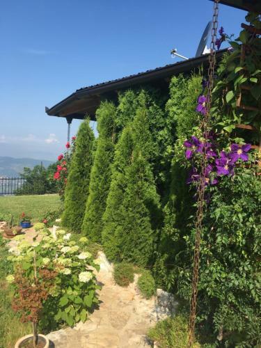 Holiday Home Mrkovici