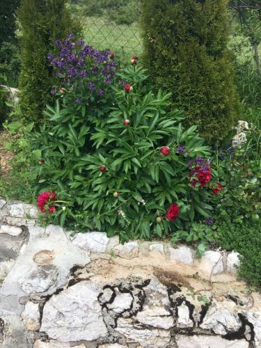 Holiday Home Mrkovici