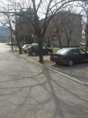 Am Apartman