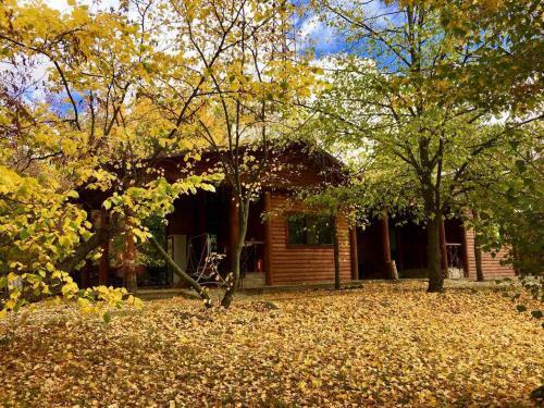 Apartamento Orelskyi Dvor