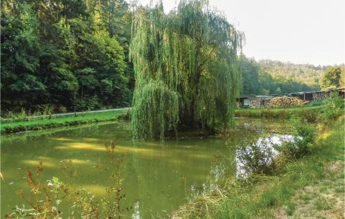 Two-bedroom Apartment In Schlitz-rimbach