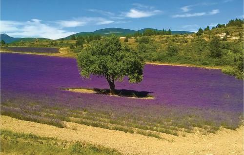 Three-bedroom Holiday Home In Carpentras